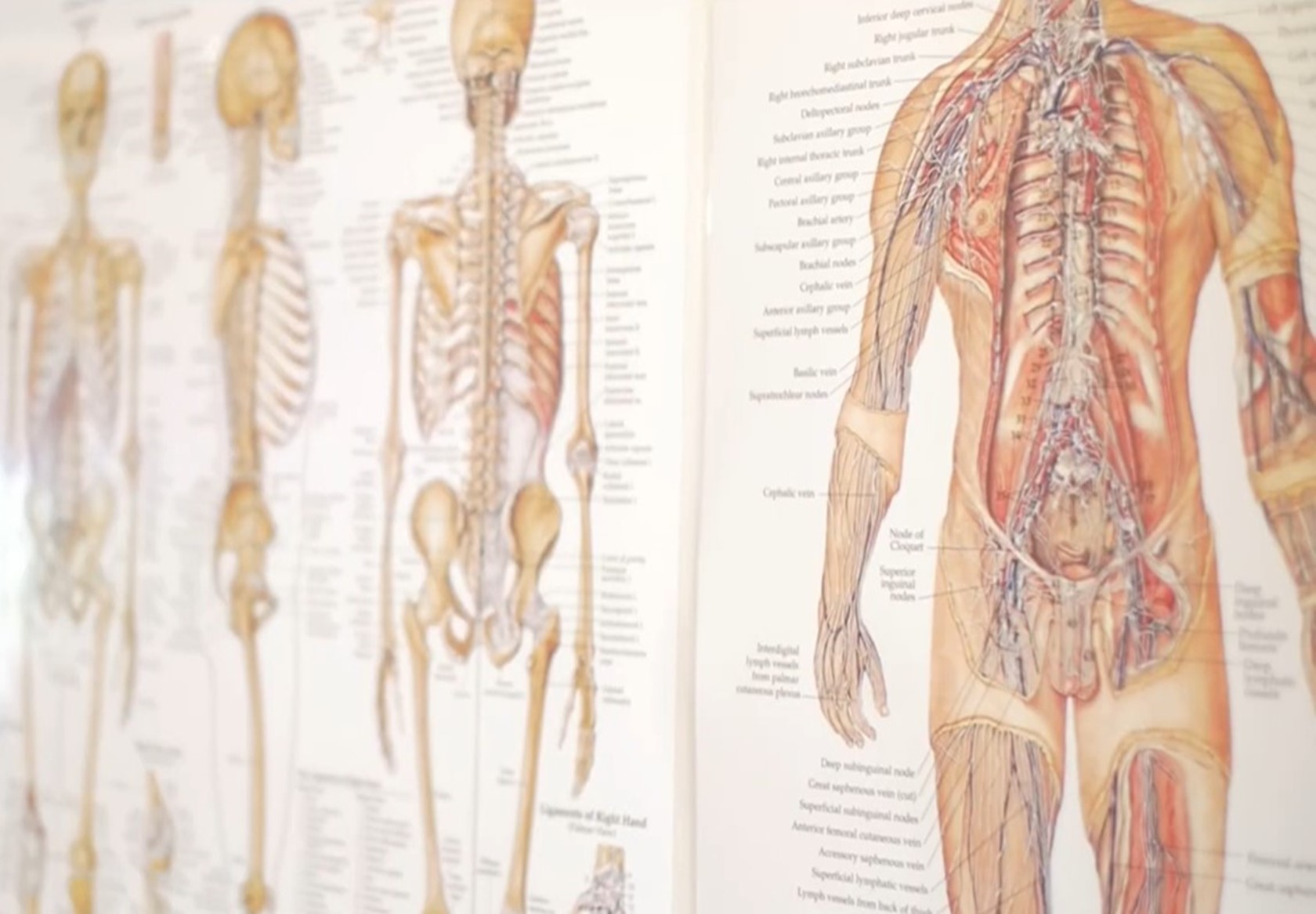 ソース画像を表示