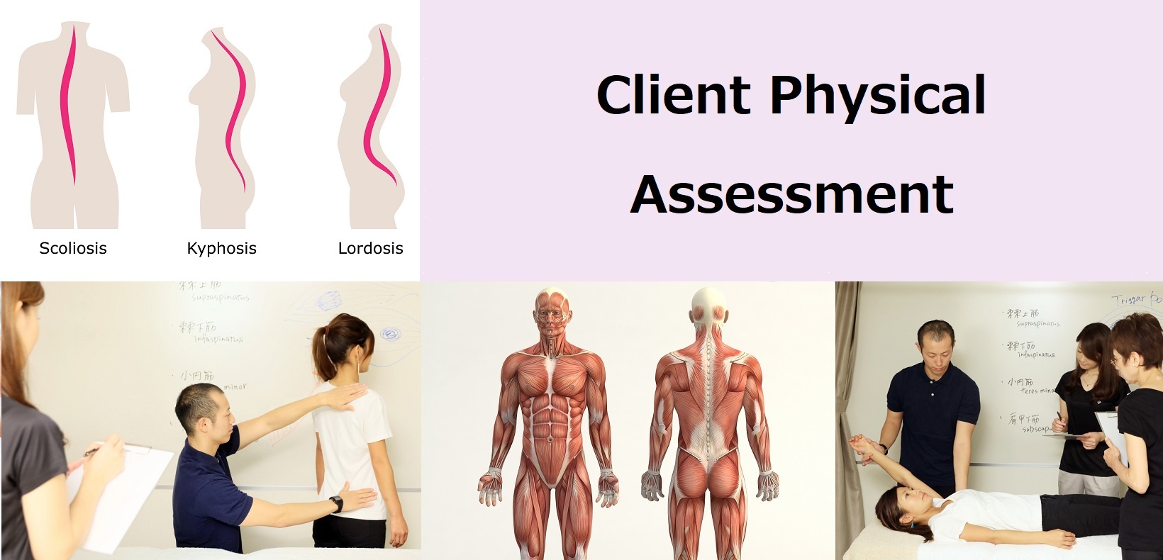 オイルマッサージ豪州政府認定資格取得スクール 東京リメディアルセラピーアカデミー オイルマッサージ豪州政府認定資格取得スクール 東京リメディアルセラピーアカデミー