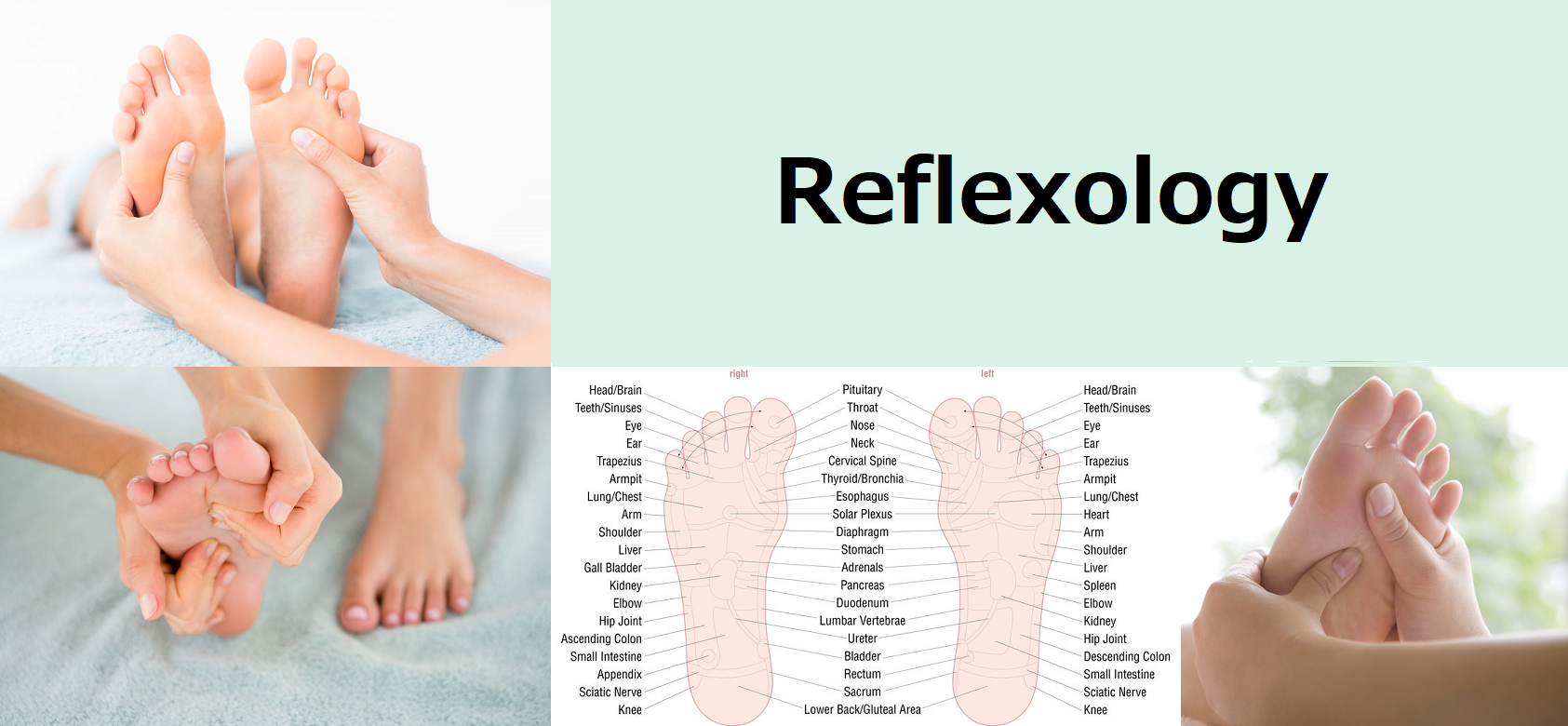 オイルマッサージ オーストラリア政府認定資格取得スクール 東京リメディアルセラピーアカデミー オイルマッサージ オーストラリア政府認定資格取得スクール 東京リメディアルセラピーアカデミー