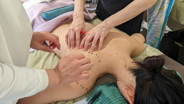 PXL_20240826_054145183.MP_コピー